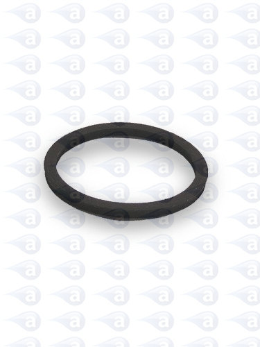 101-20G gasket